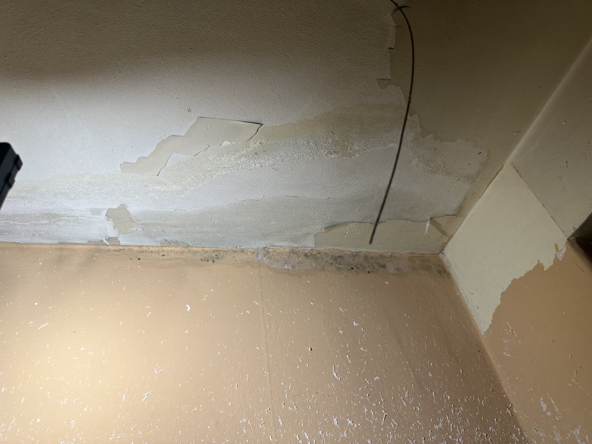 Schimmel in de hoek van plafond en muur